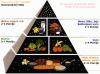 USDA piramida ishrane